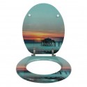 MSV Copriwater Legno STONEHENGE Grigio - Cerniere Acciaio ox MSV