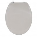 MSV WC-Sitz Thermo Hard Taupe - PS-Scharniere MSV