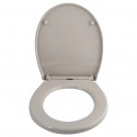 Abattant Wc PP HARRY Taupe - Charnière Zinc Spirella Spirella