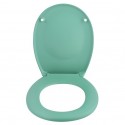 Spirella Asiento de inodoro Thermo Duro NEELA Verde Mate- Bisagras de ABS cromado Spirella
