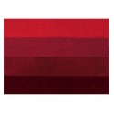 Spirella Bathroom mat Polyester FOUR 55x65cm Red Spirella
