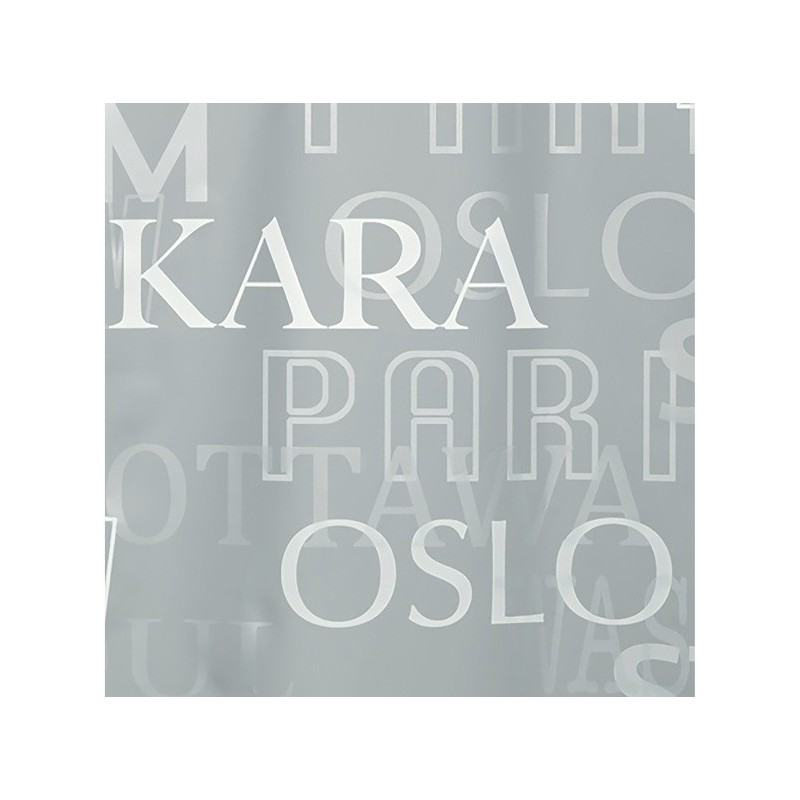 Spirella Duschvorhang PEVA CITIES 180x200cm Silber Spirella