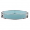 MSV Porte Savon AS MANIHI Bleu Clair MSV