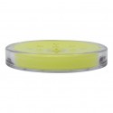 Porte Savon AS MANIHI Vert MSV MSV