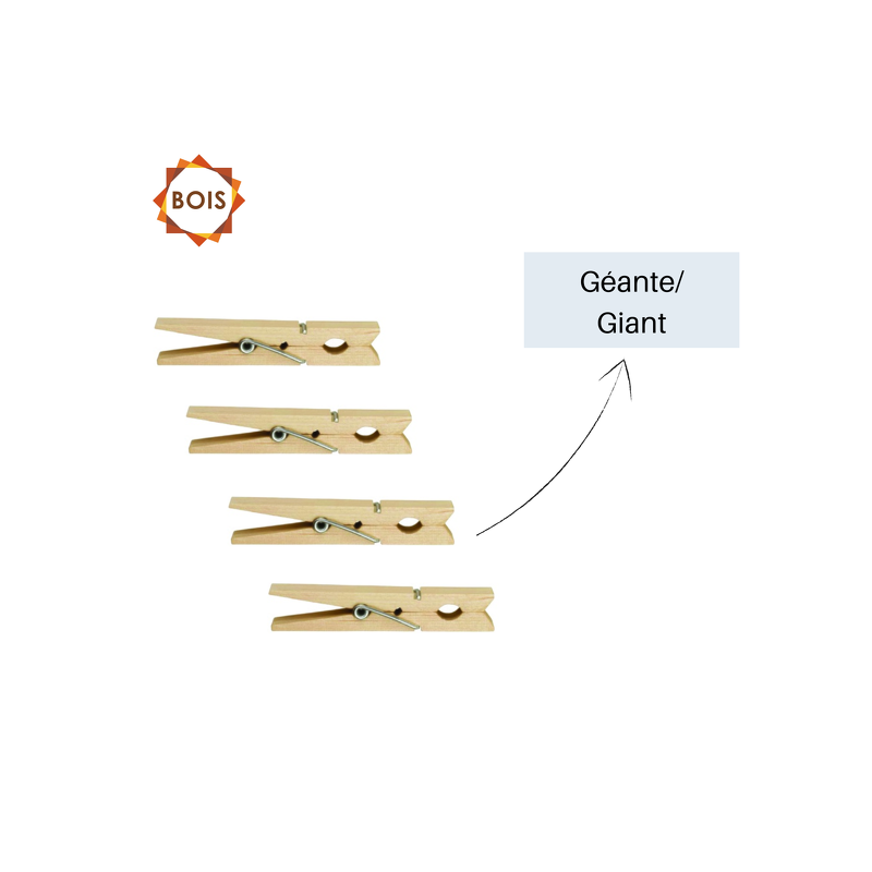 Lot de 120 Pinces à linge Bois Géantes MSV MSV