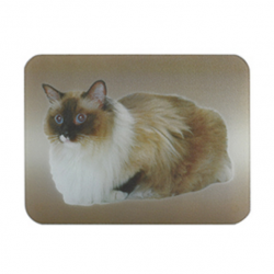 MSV Cat Glass Cutting Board and Coaster