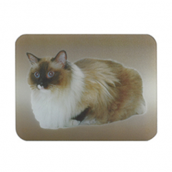 Tabla de cortar y salvamanteles de cristal con estampado de gatos MSV