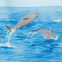 Rideau de douche Polyester NEMO 180x200cm Bleu motif dauphins Spirella