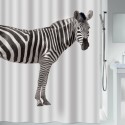 Cortina de ducha Poliéster ZEBRA 180x200cm Zebra Spirella