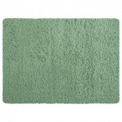 Microfiber bath mat 50x70cm Basil Green MSV