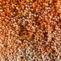 HIGHLAND Alfombra de baño redonda de microfibra ø60cm Naranja Spirella