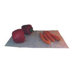 Base deodorante per frigorifero a carbone attivo MSV