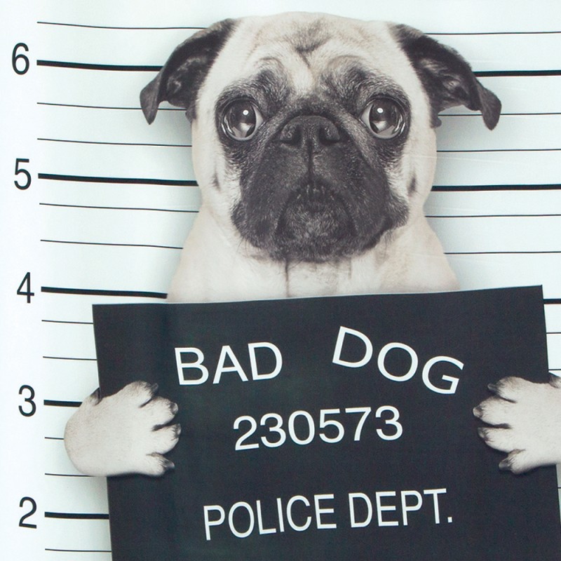 Tenda da doccia Poliestere BAD DOG 180x180cm Spirella
