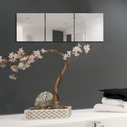 Set Of 3 Adhesive Mirrors MSV