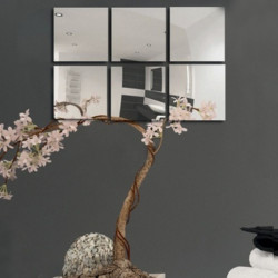 Set Of 6 Adhesive Mirrors MSV