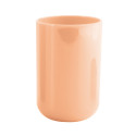 Vaso PS INAGUA Melocoton MSV