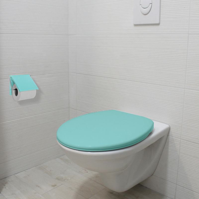 PS Wall Mounted Toilet Roll Holder Aqua & Chrome Steel MSV