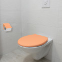 PS Wall Mounted Toilet Roll Holder & Peach Chrome Steel MSV