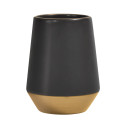 JOSHUA GOLD MATT TUMBLER
