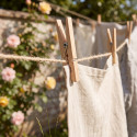 Lot de 36 Pinces à  linge Bois MSV